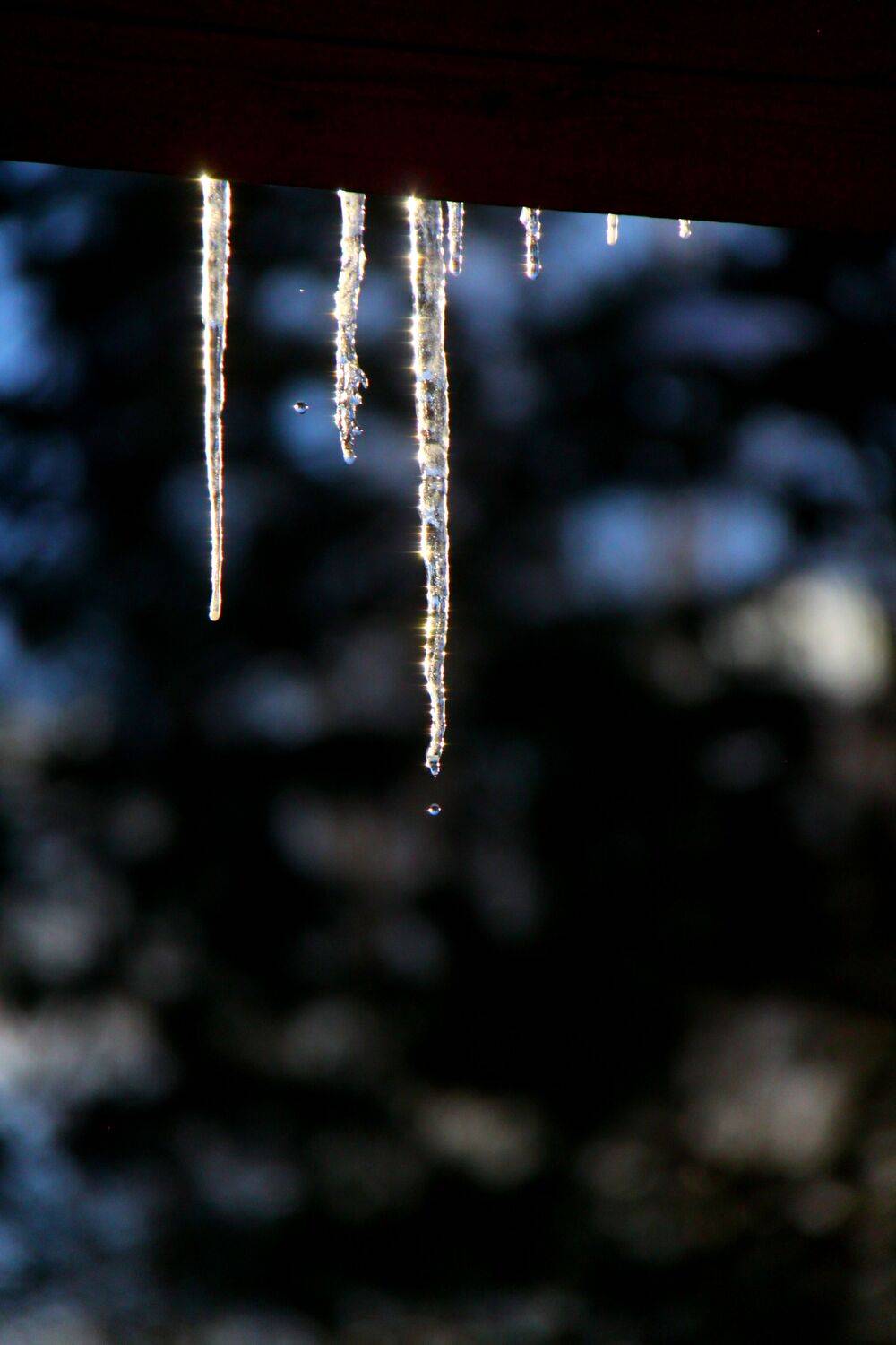 Photo #9020111
