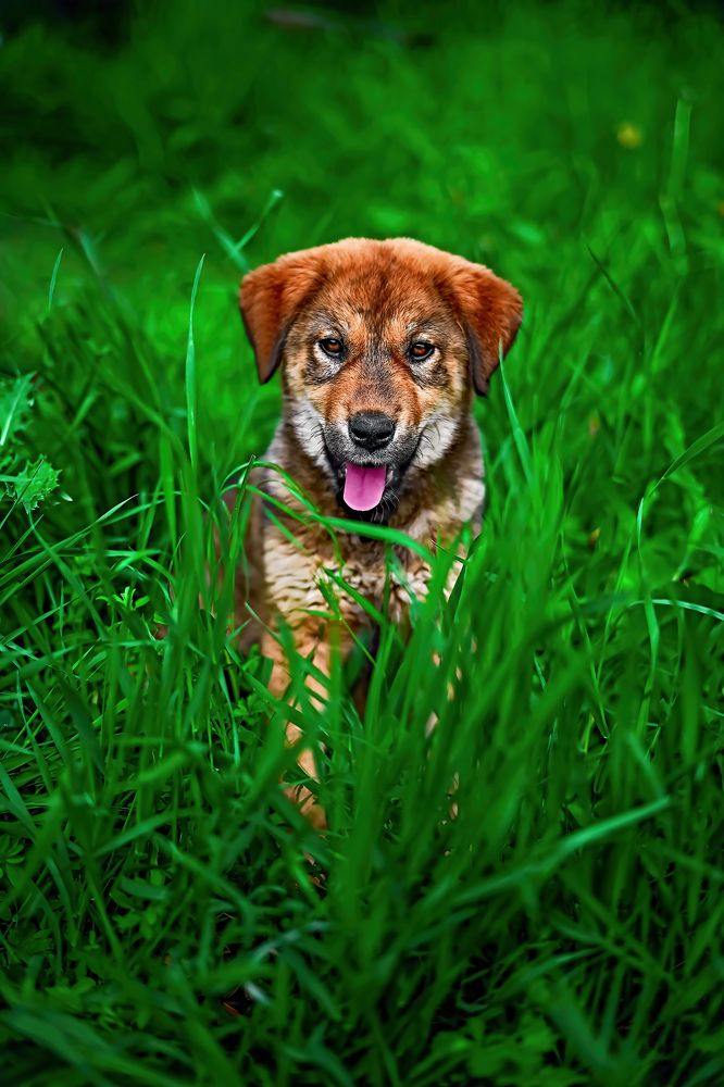 Photograph by Дашдемир Мамедов