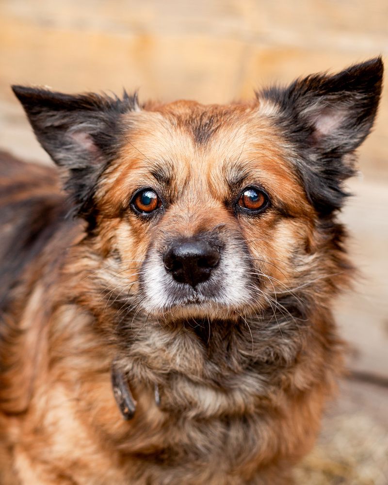 Photograph by Инна Баевская