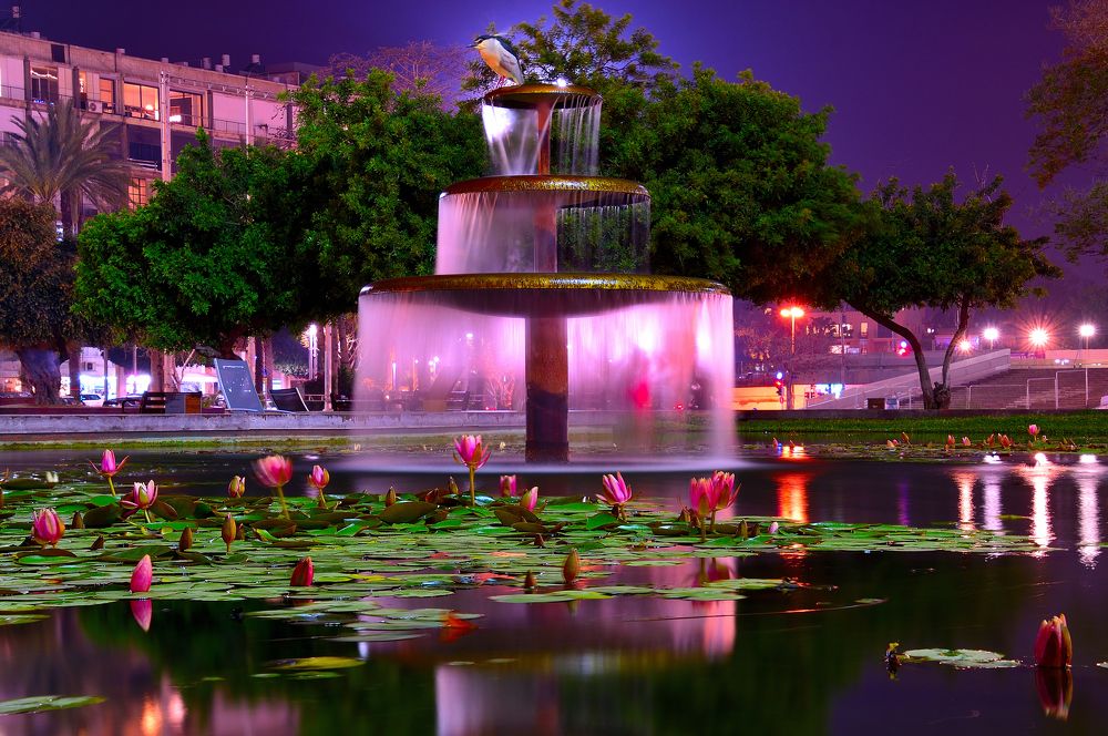 Photograph by NAFTALI KHALMAN