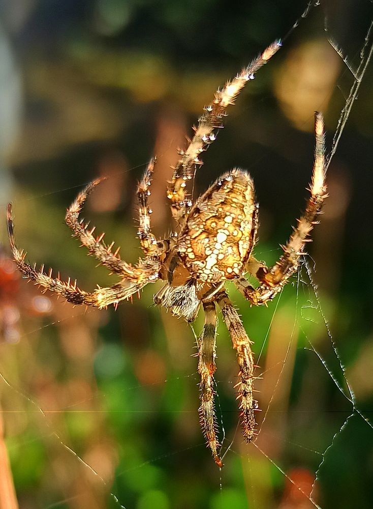 Photograph by Ольга Тихонова