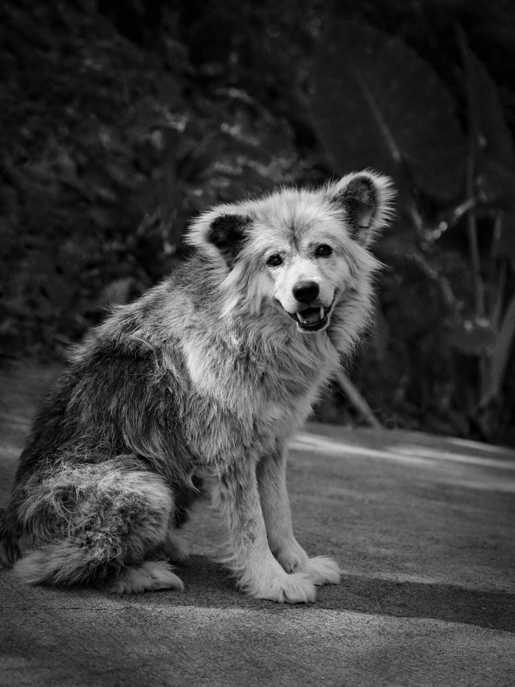 Photograph by Екатерина Слепнева