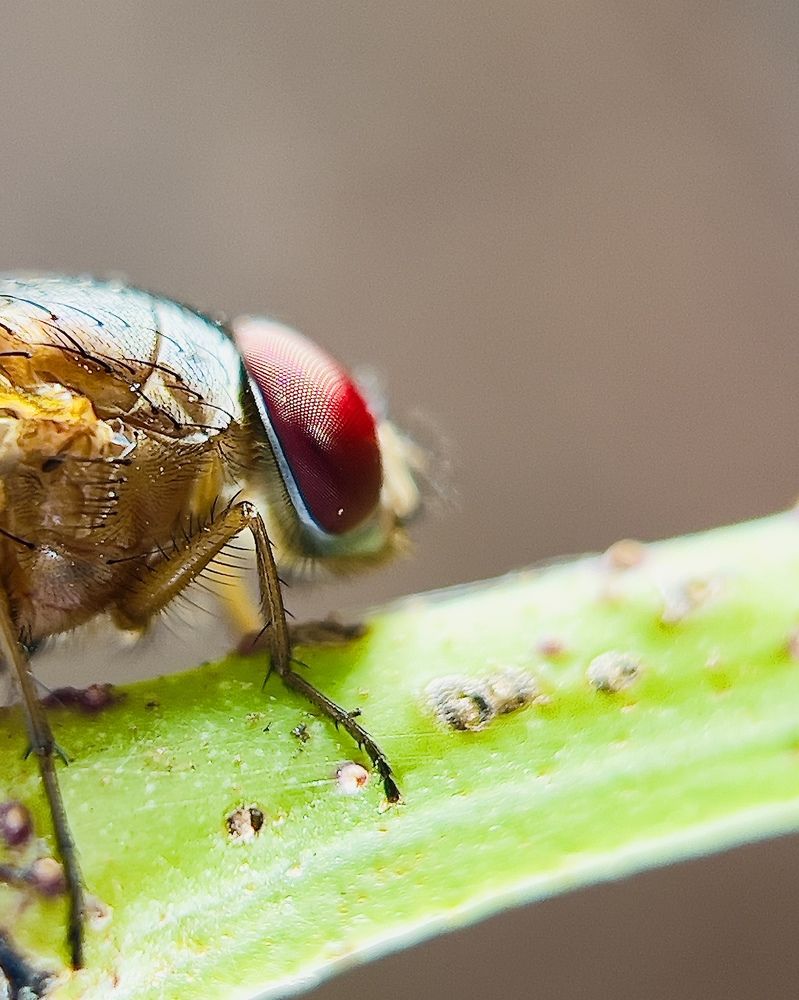 Photograph by amn_graphy_