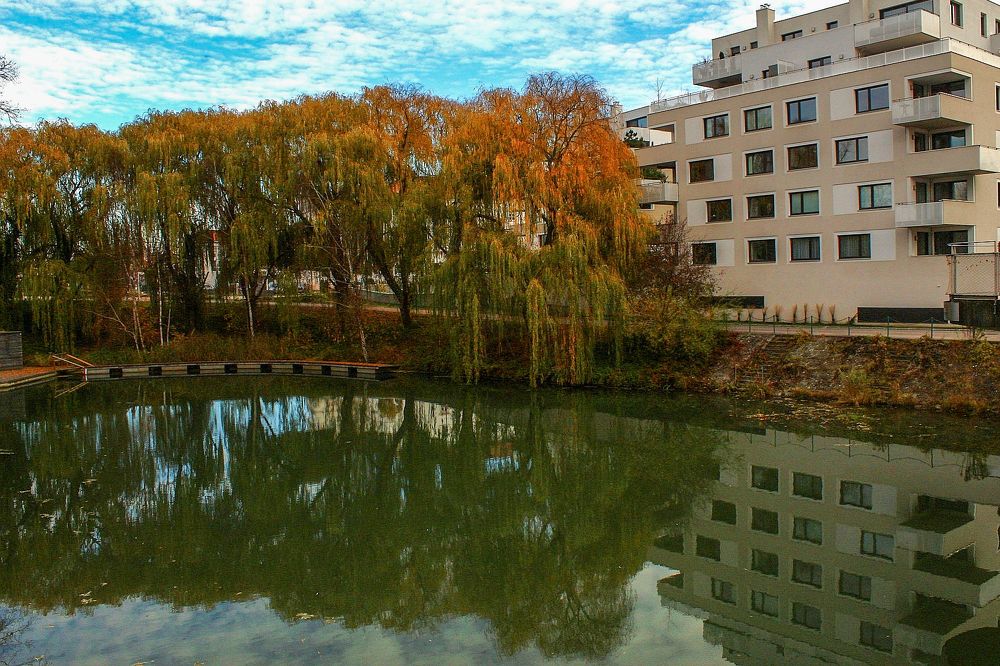 Photograph by Khosro Judi