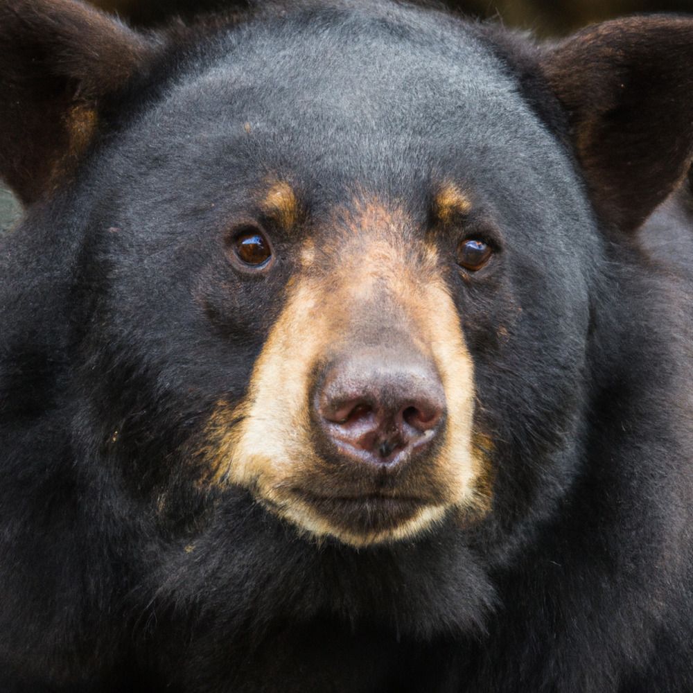 Photograph by Luis Alfredo Morales Torres