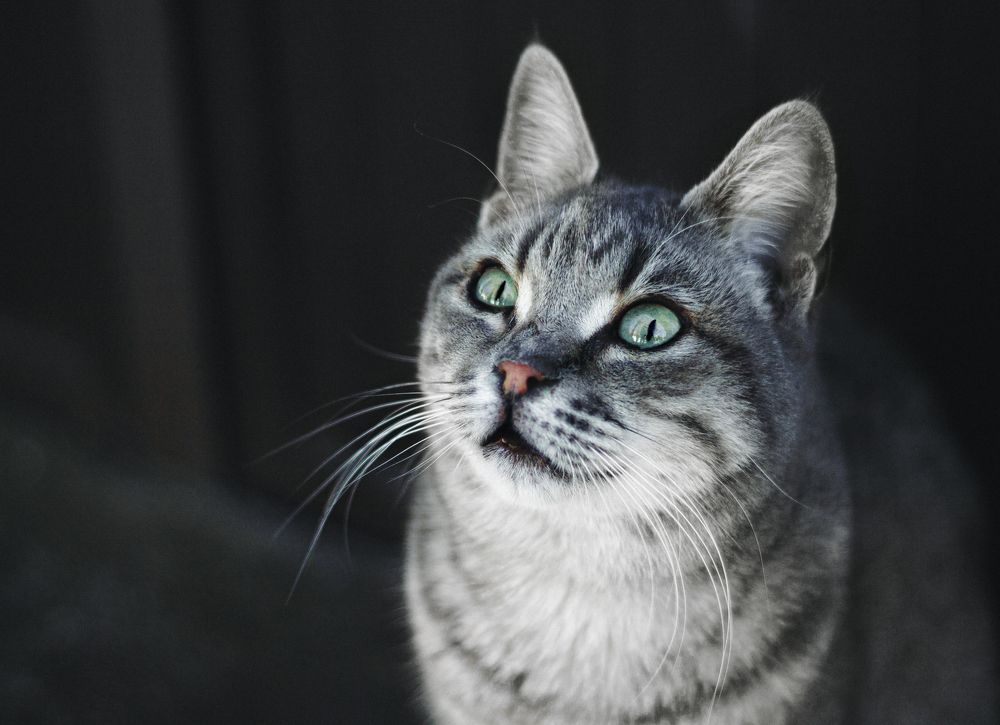 Photograph by Вероника Антипова