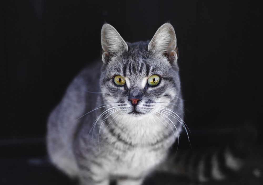 Photograph by Вероника Антипова