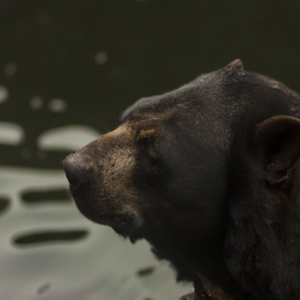 Photograph by Luis Alfredo Morales Torres