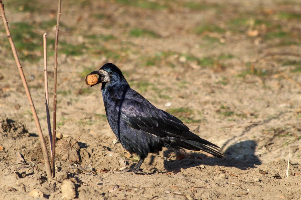 Photograph by Мари Полищук