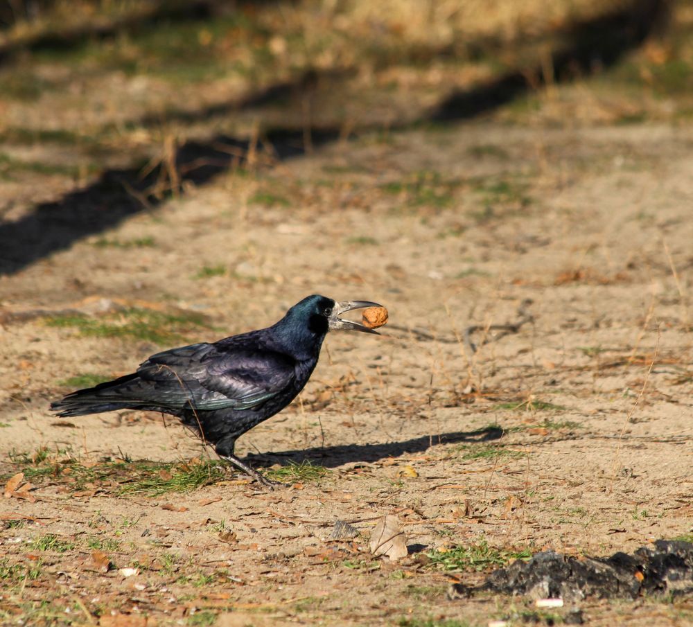 Photograph by Мари Полищук