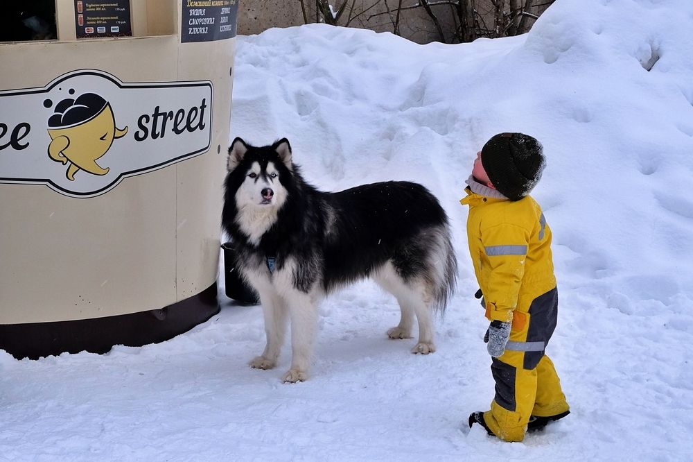 Демон и Егор