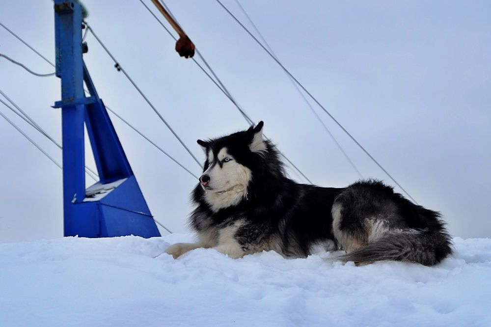 Демон на горке