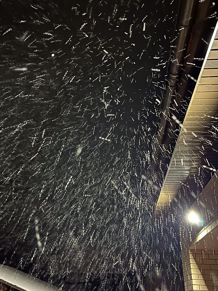 Photograph by Елена Сиушова