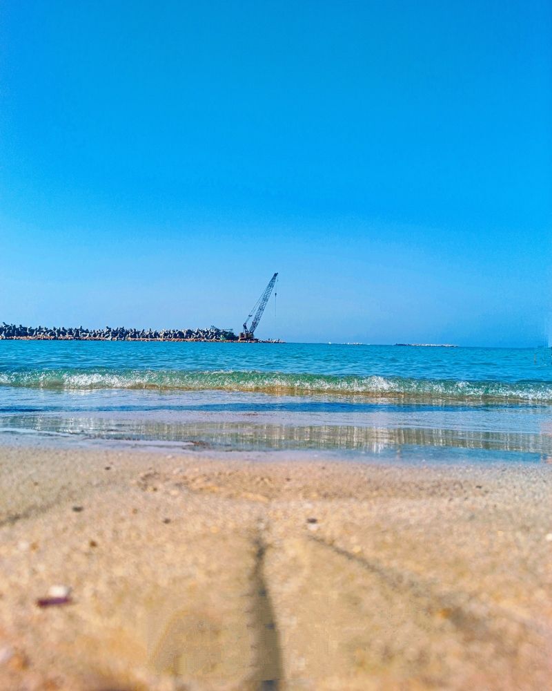 Photograph by Alaa Osama