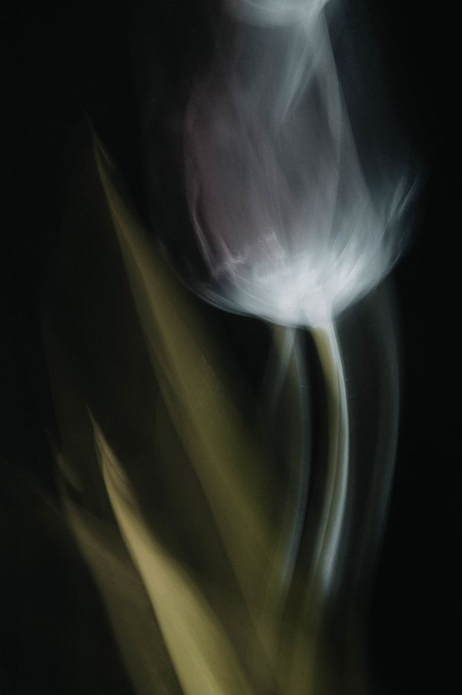 Photograph by Дарья Дирель