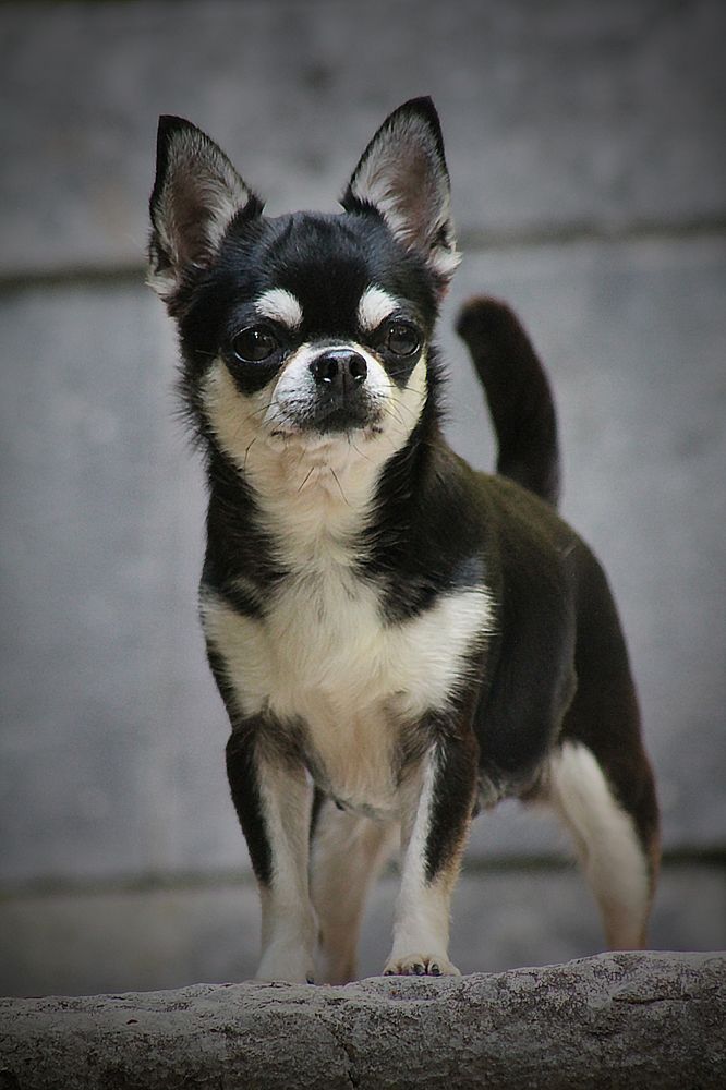 Photograph by Диана Ульянцева