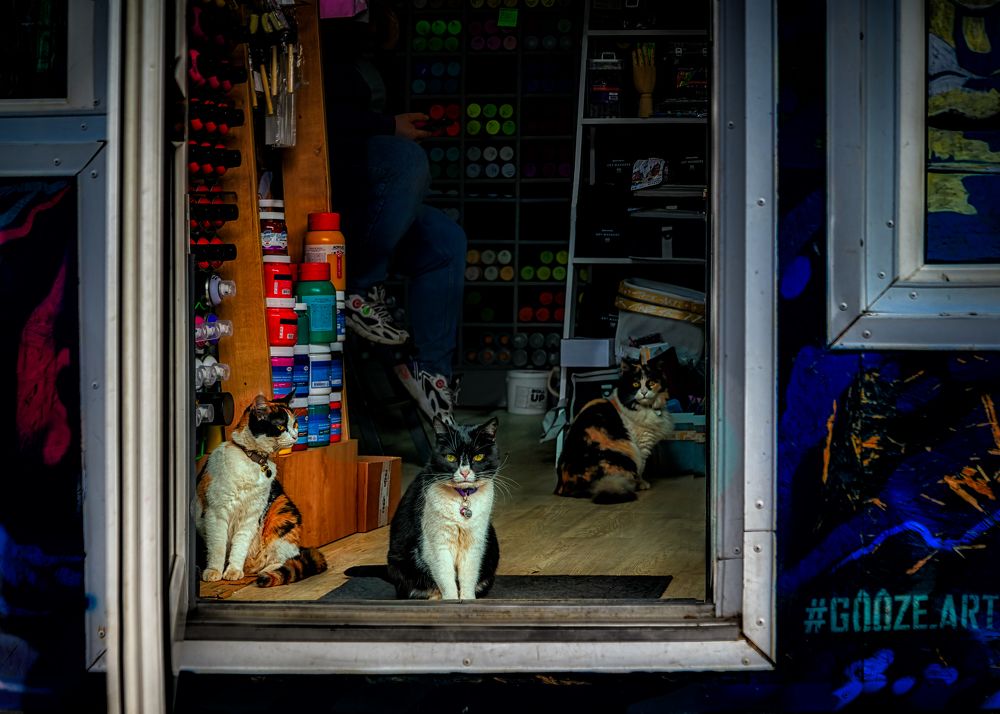 Photograph by Владимир Кваша