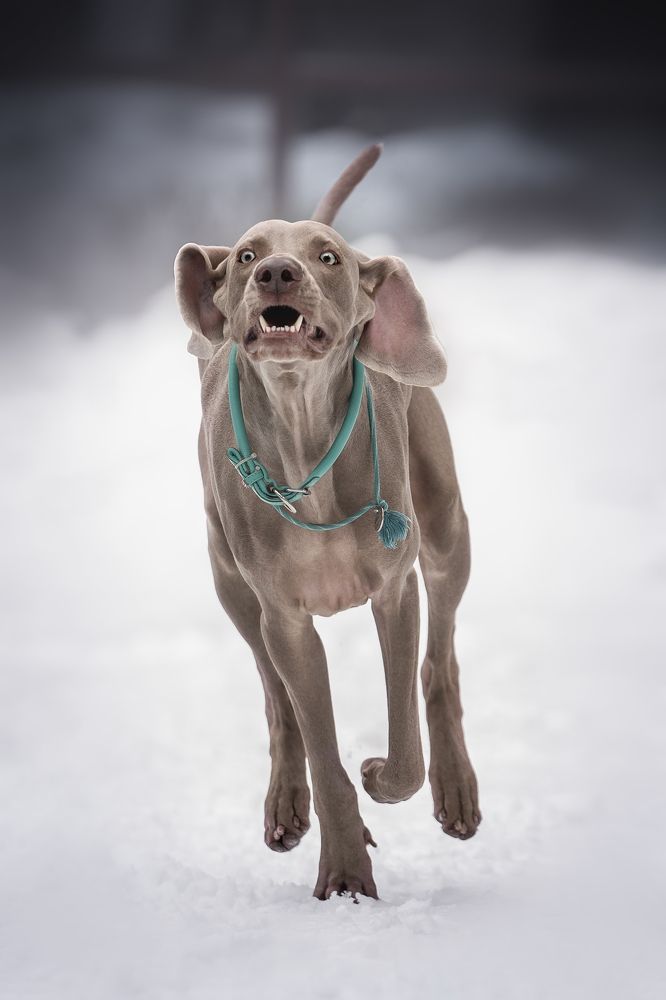 Photograph by Olga Shmeleva