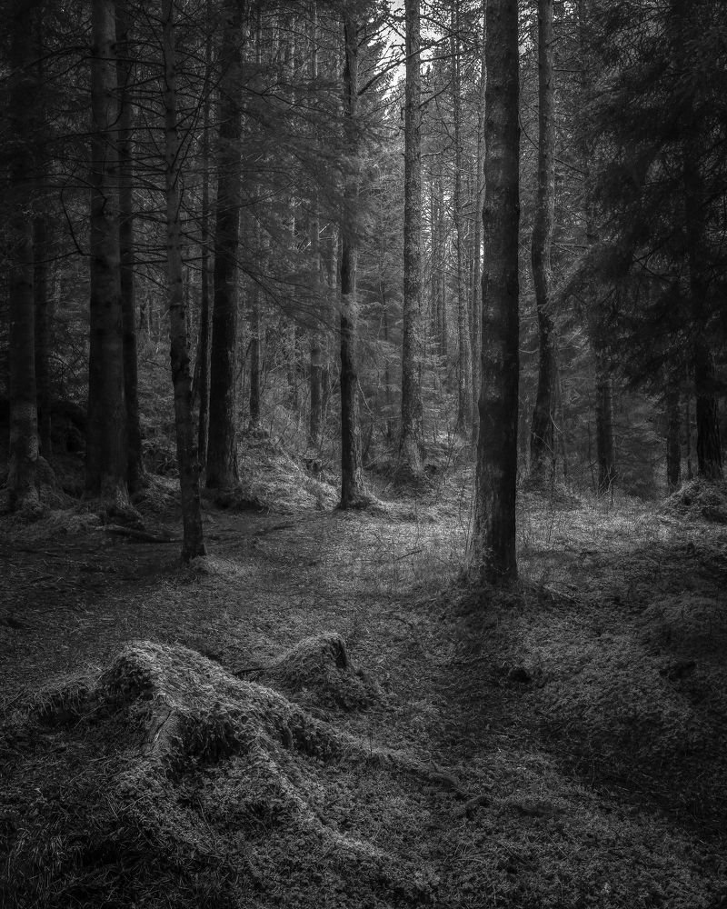 Photograph by Johnny Bakken