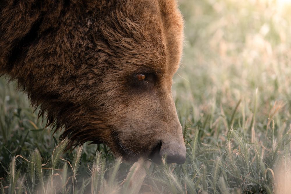 Photograph by Riley King