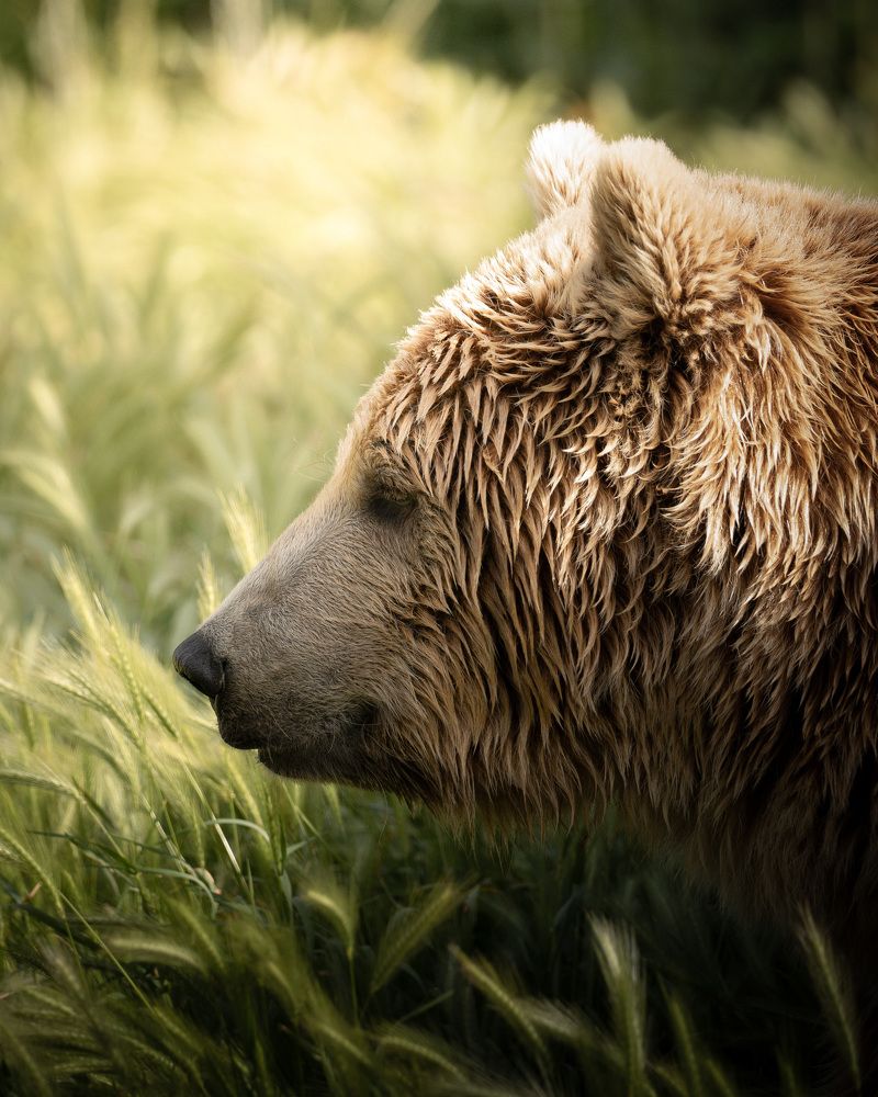 Photograph by Riley King