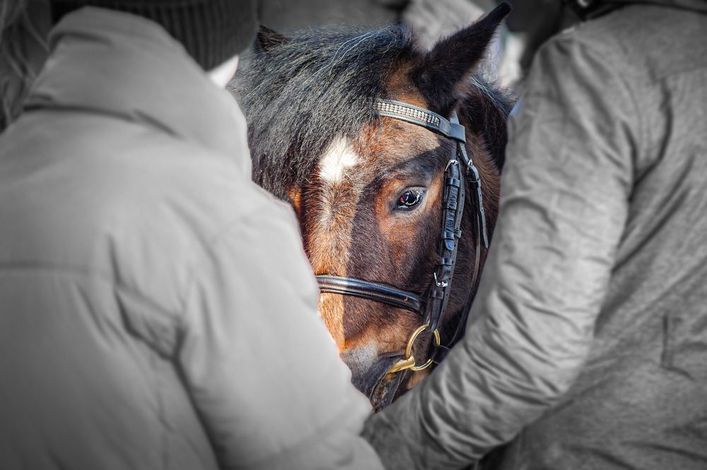 Photograph by Кирилл Богомазов