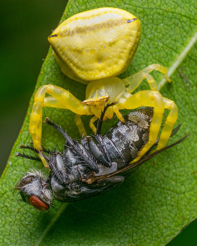 Фотография автора Abhinand R V