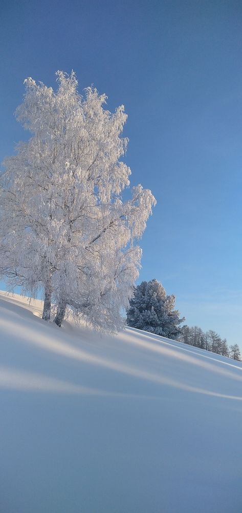 Photograph by Наталья Викторовна