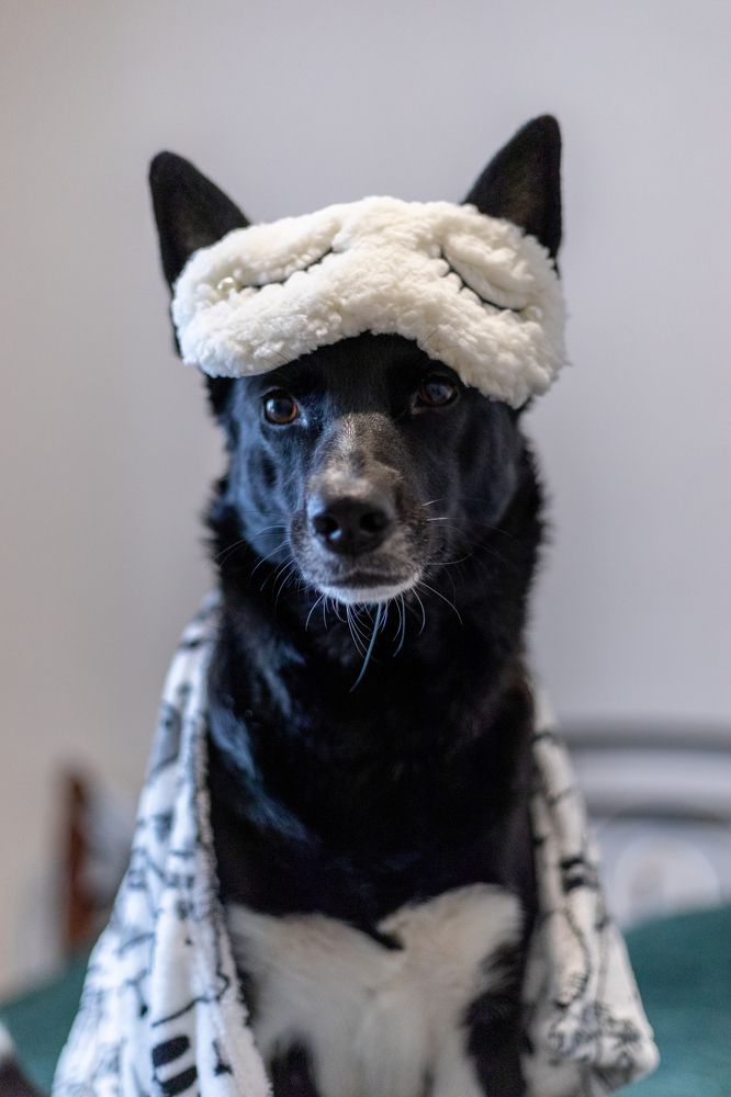 Photograph by Полианна Напара