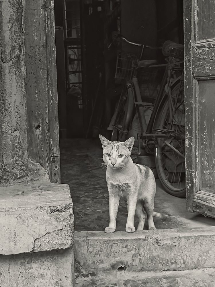 Photograph by Prahana Basu