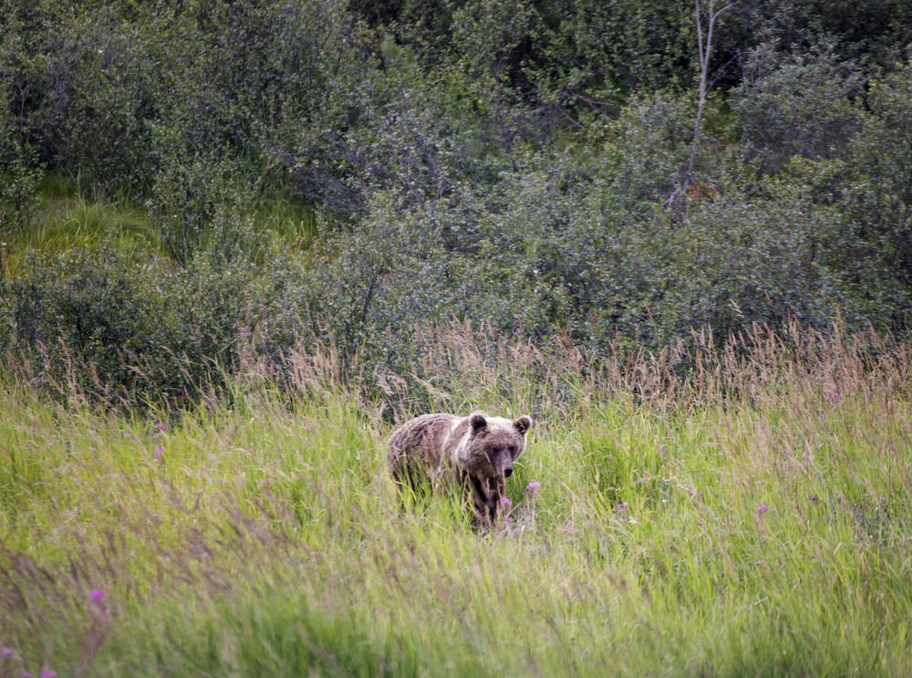 Photograph by Dmitriy Marchenko