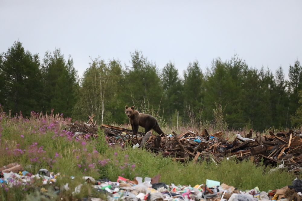 Photograph by Dmitriy Marchenko