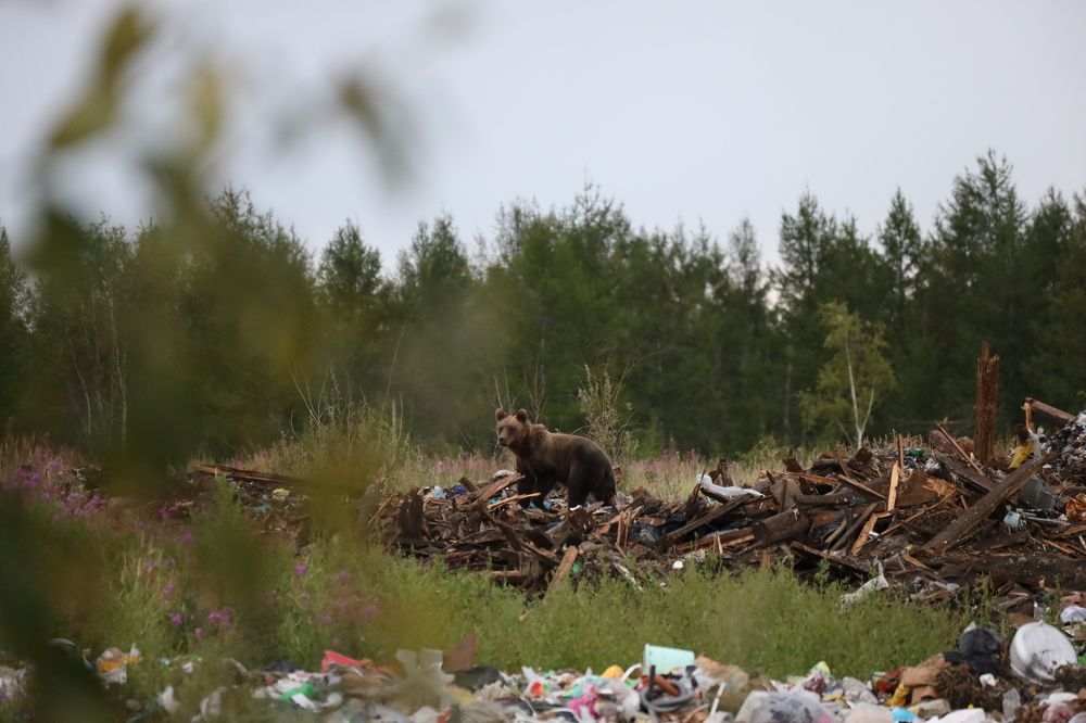Photograph by Dmitriy Marchenko