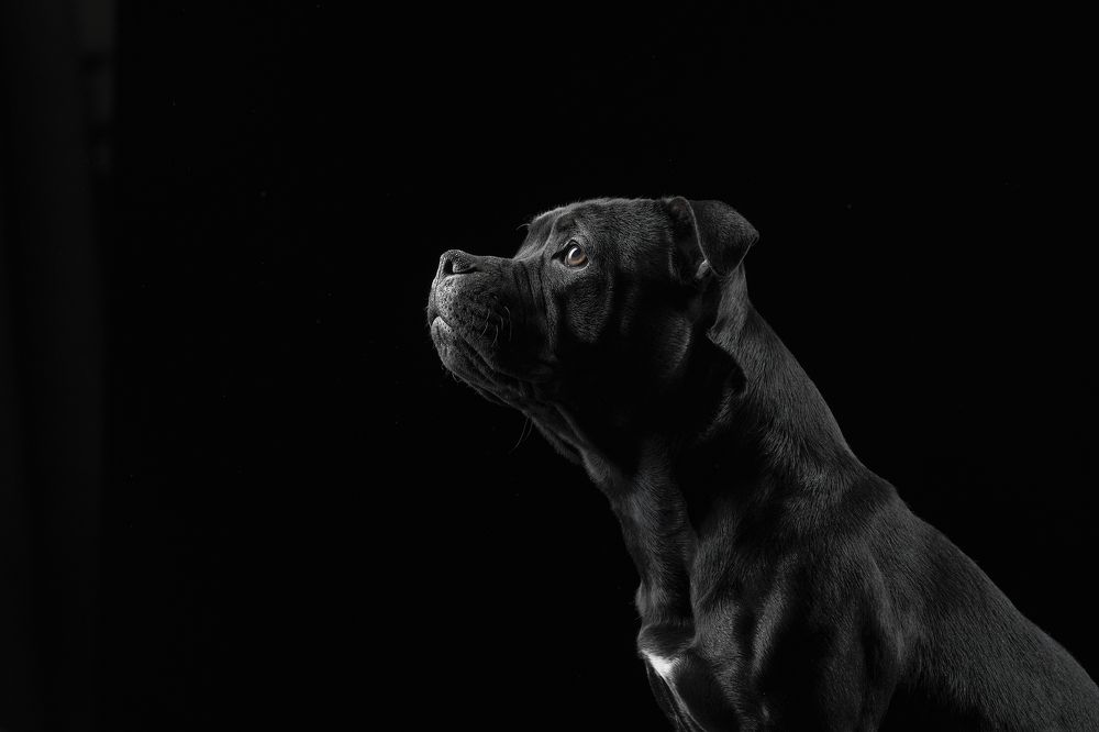 Photograph by Olga Shmeleva