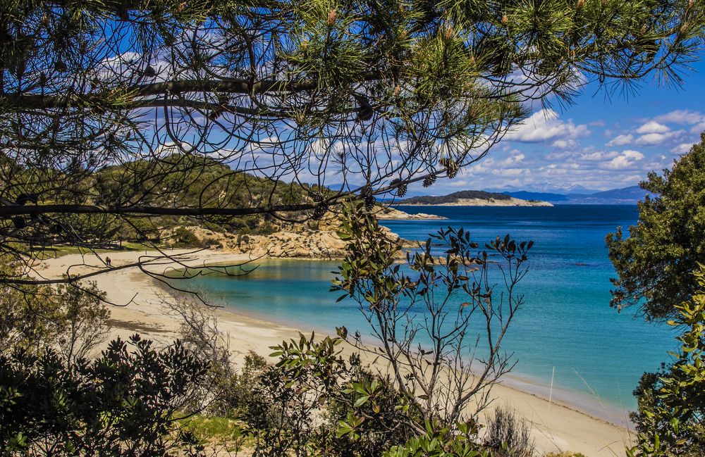 Photograph by Ivo Chernev