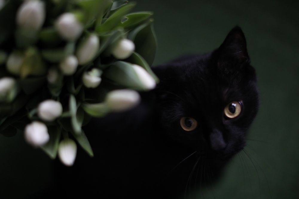 Photograph by Наталья Кузнецова