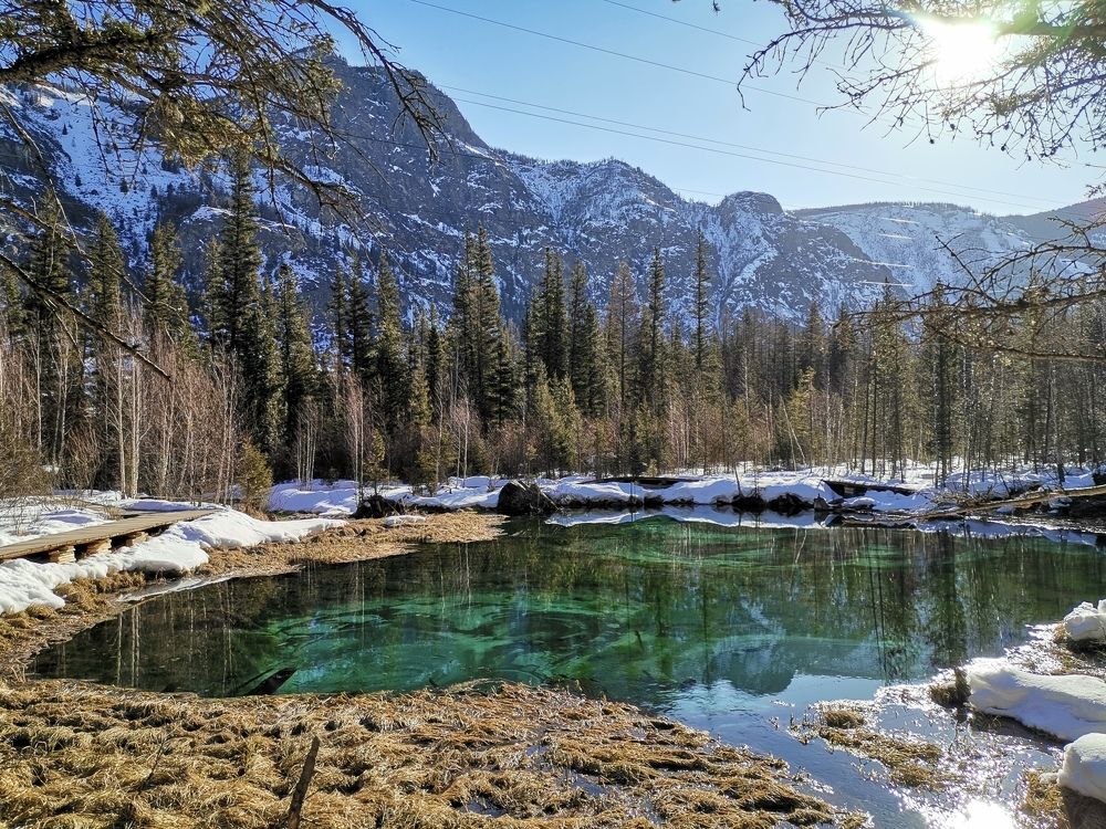 Photograph by Елена Павлова