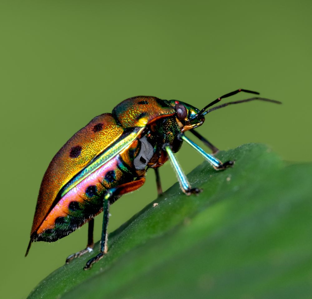 Photograph by Rachana madhav