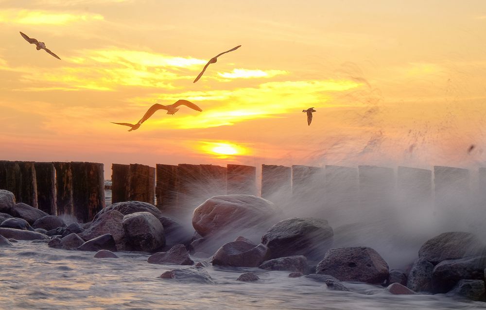 Photograph by 