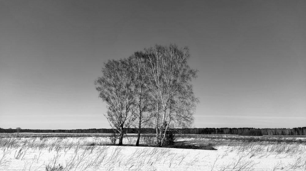 Photograph by Александр Лунин