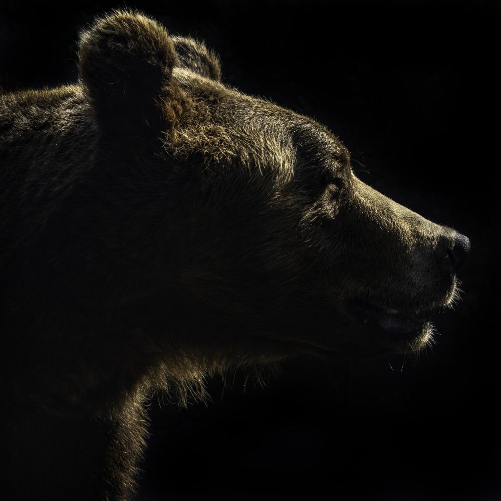 Photograph by Владимир Остапенко