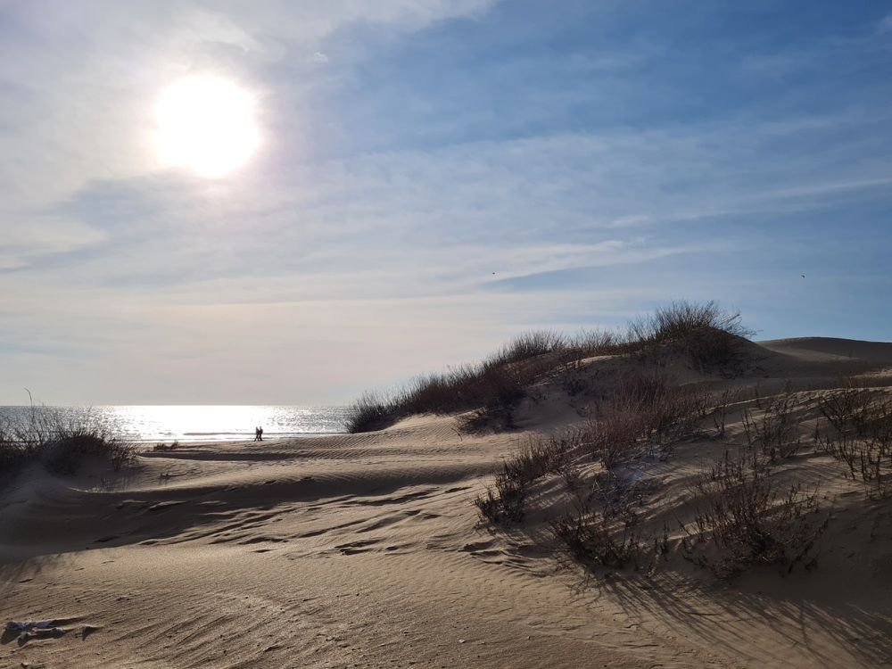 Photograph by Ирина Синягина