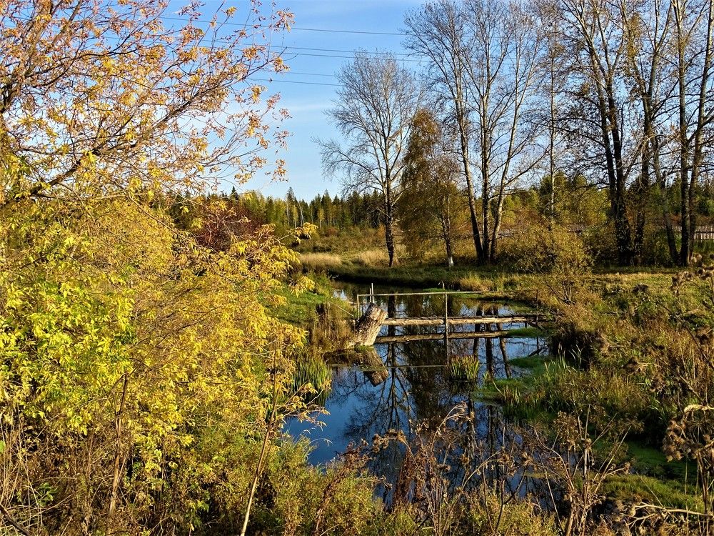 Photograph by Николай Худяков