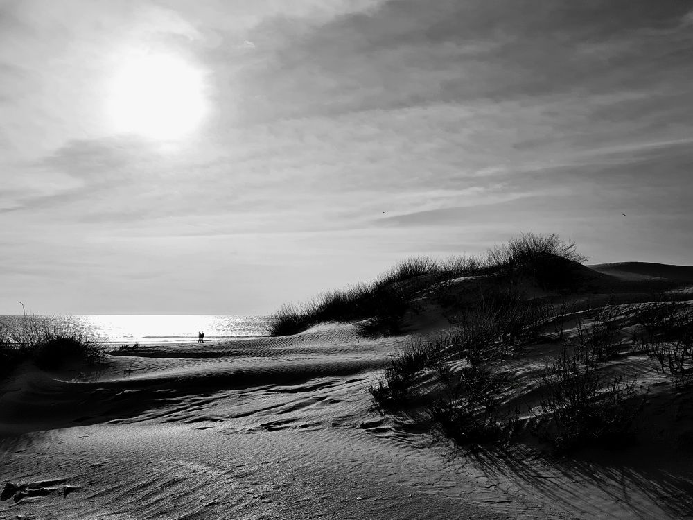 Солнечный день