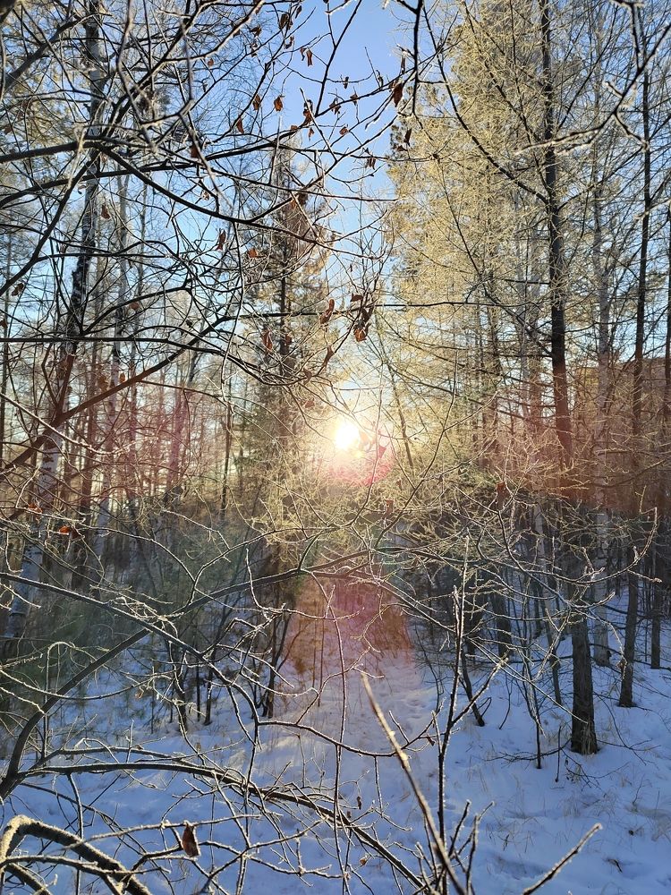 Photograph by Ирина