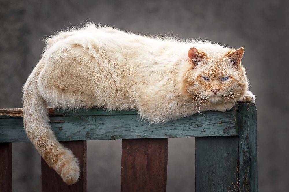 Photograph by Крышен Сергей