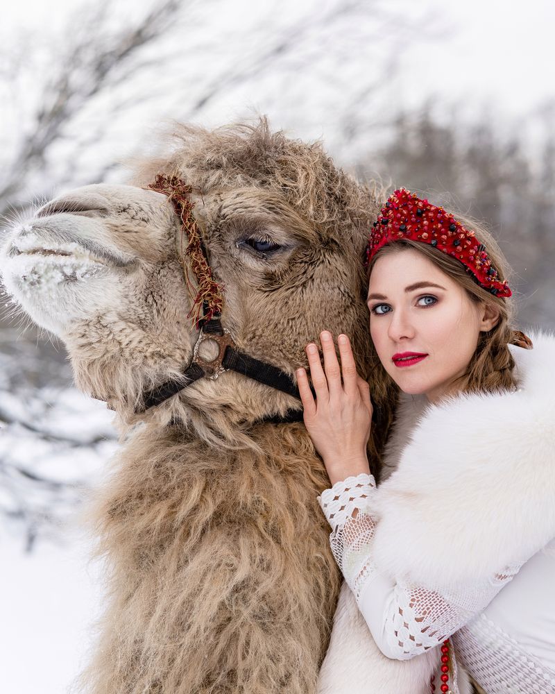 Верблюжья эстетика