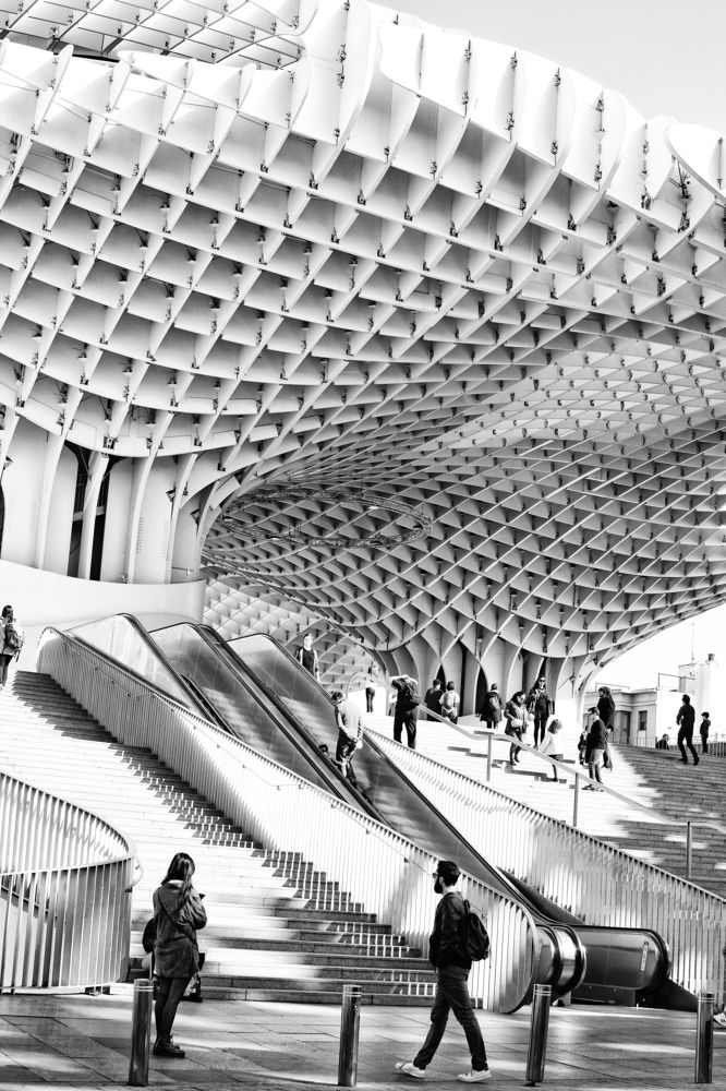 Фотография автора Алена