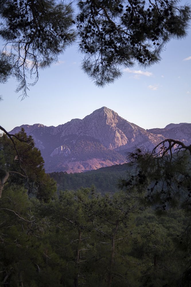 Photograph by Екатерина Кривошеина