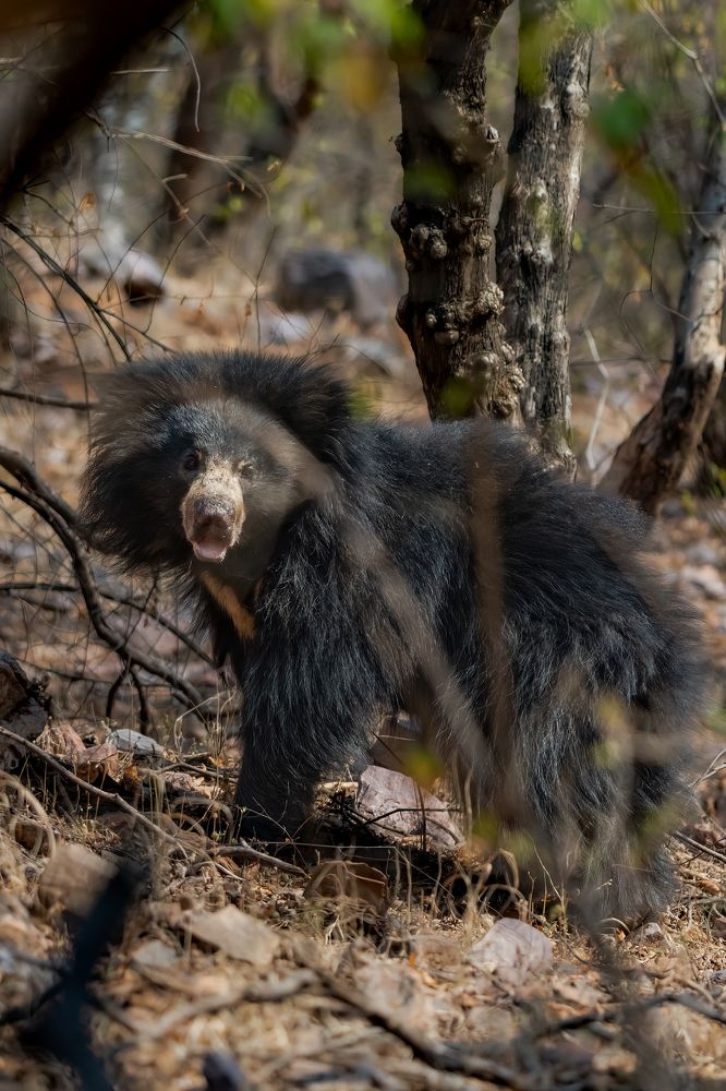 Photograph by DEEPA GIRISH